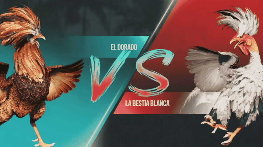 lllbet Plataforma Segura e Slots Exclusivos